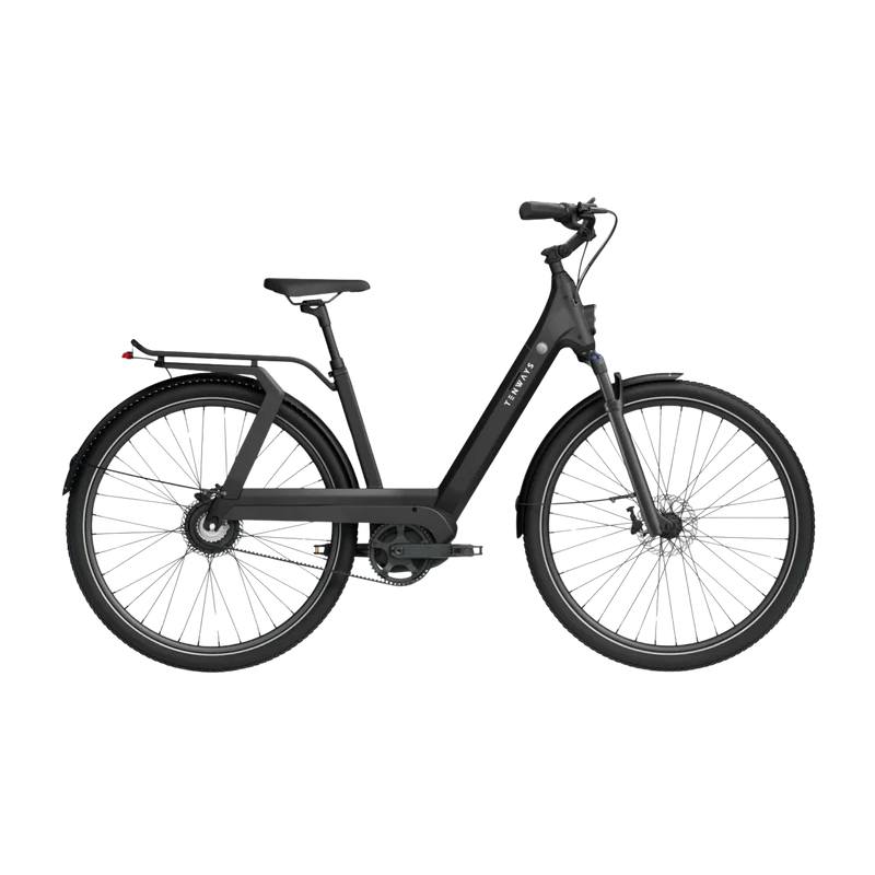 Elektrijalgratas TENWAYS AGO T, Black