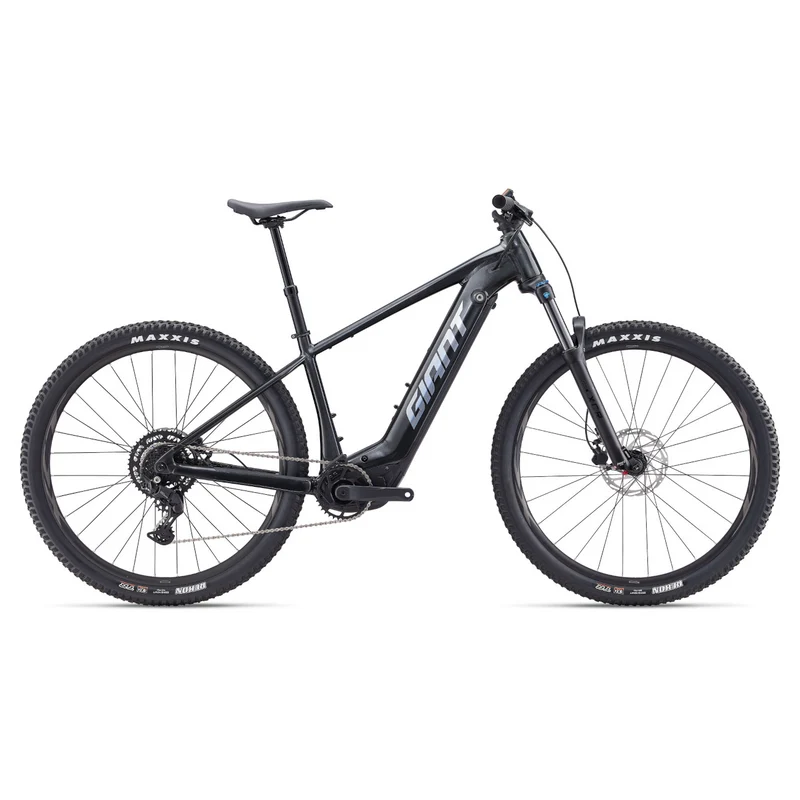 Elektrijalgratas GIANT Fathom E+ 2, 29" Gunmetal Black (L)
