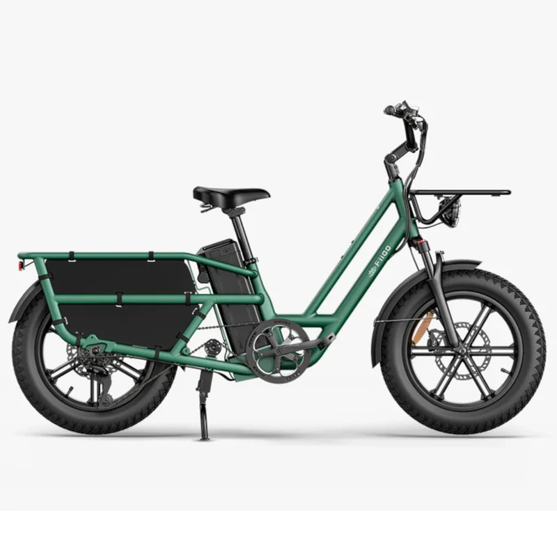 FIIDO T2 Longtail Cargo Elektrijalgratas