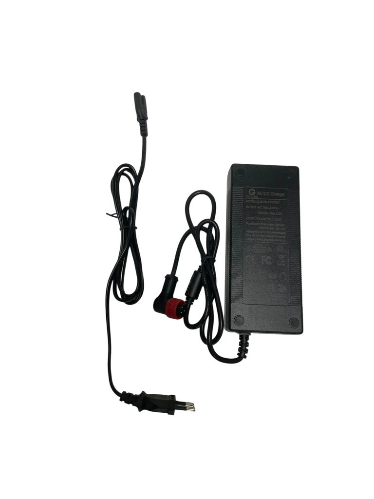 new Charger 60V Vsett 10