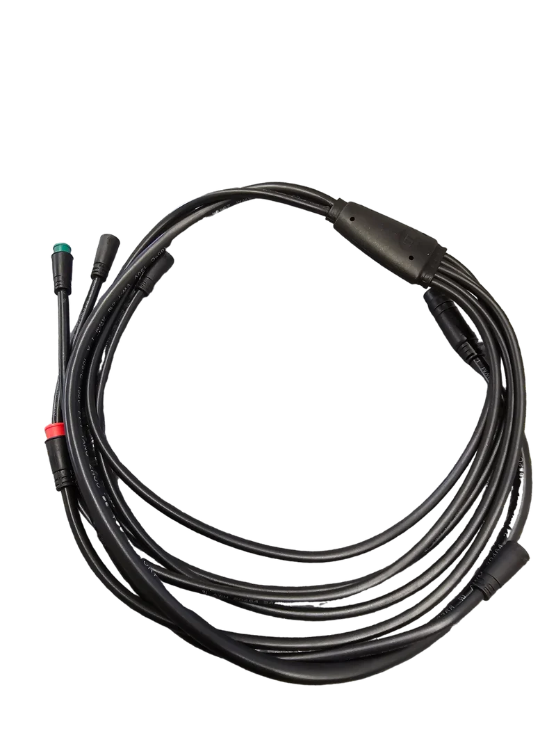 RAEV Wiring Harness