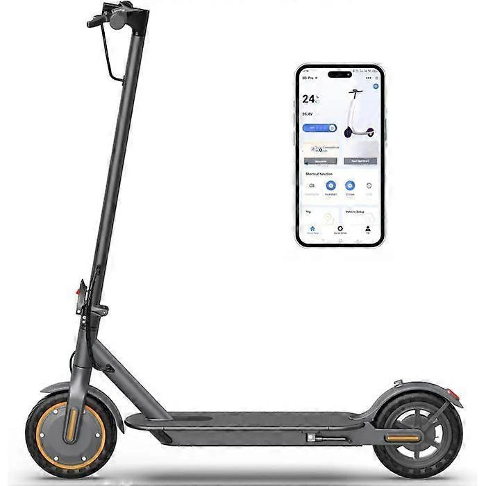 Riceel R30 Electric Scooter, 350W, 10.5Ah, Black