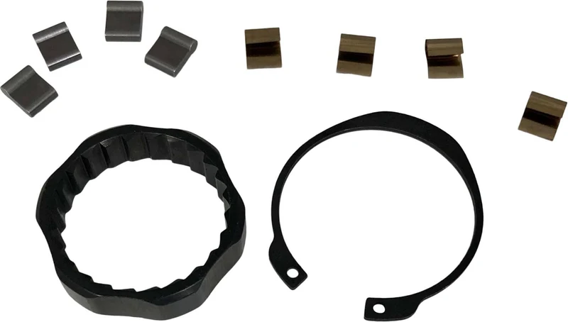 Salt Plus Trapez Cassette Pawls och Spring Set