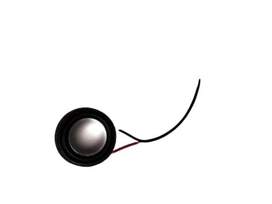 Speaker (Altavoz) Inmotion V11