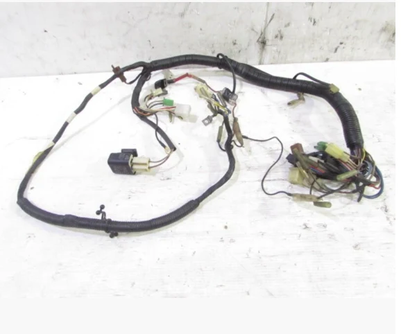 Yamaha SDR200 2TV Wiring Loom
