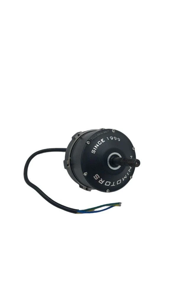 Motor (Rear) Dualtron Thunder 2 (72V)
