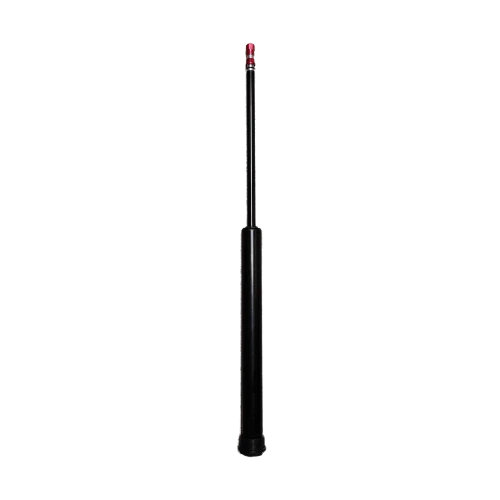 Gas spring assembly Inmotion V11