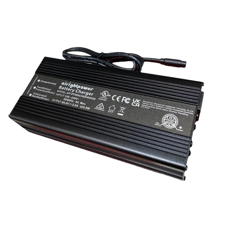 Charger (cargador) for Inmotion RS