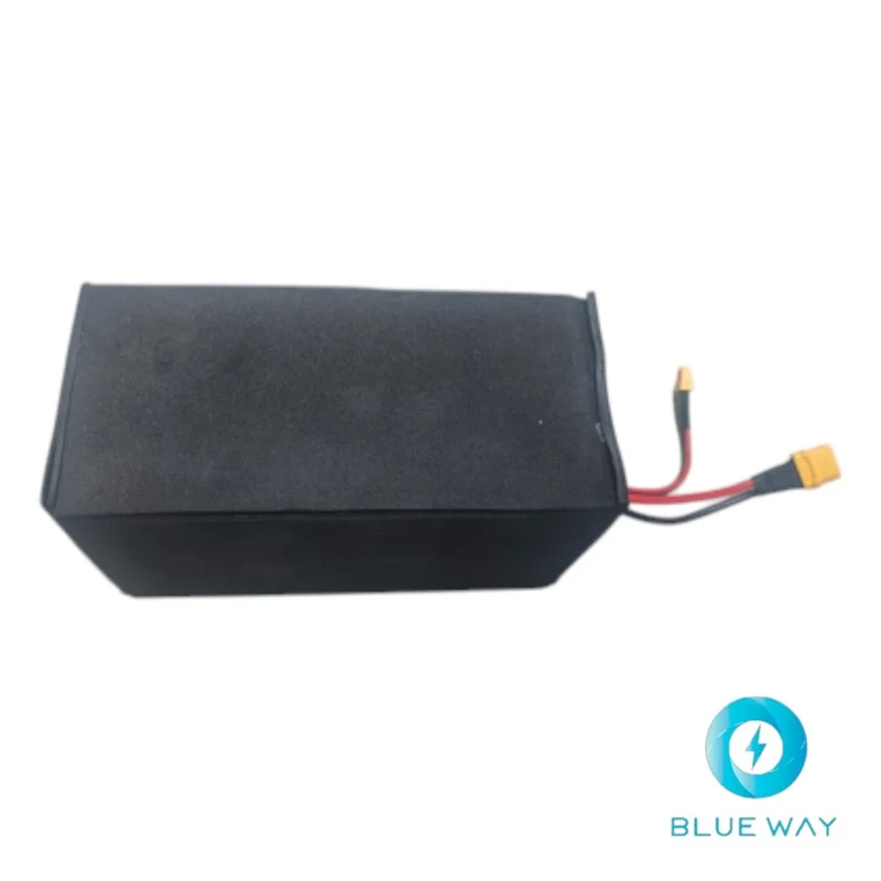 Battery Assembly (Batería ensamblado) for Inmotion E20