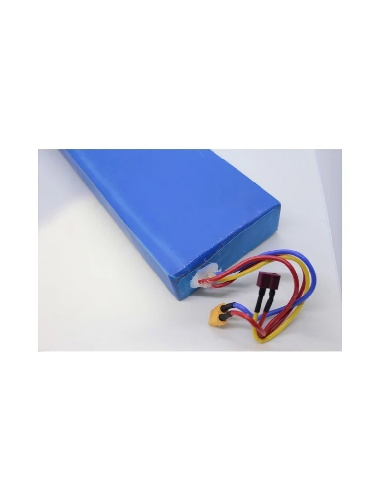 Battery (Batería) 60V 24.5A for Dualtron Spider Limited