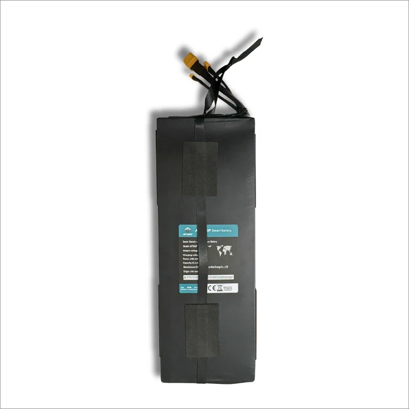 Battery for Electric Scooter C10 – 48V 10.4Ah (499.2Wh)