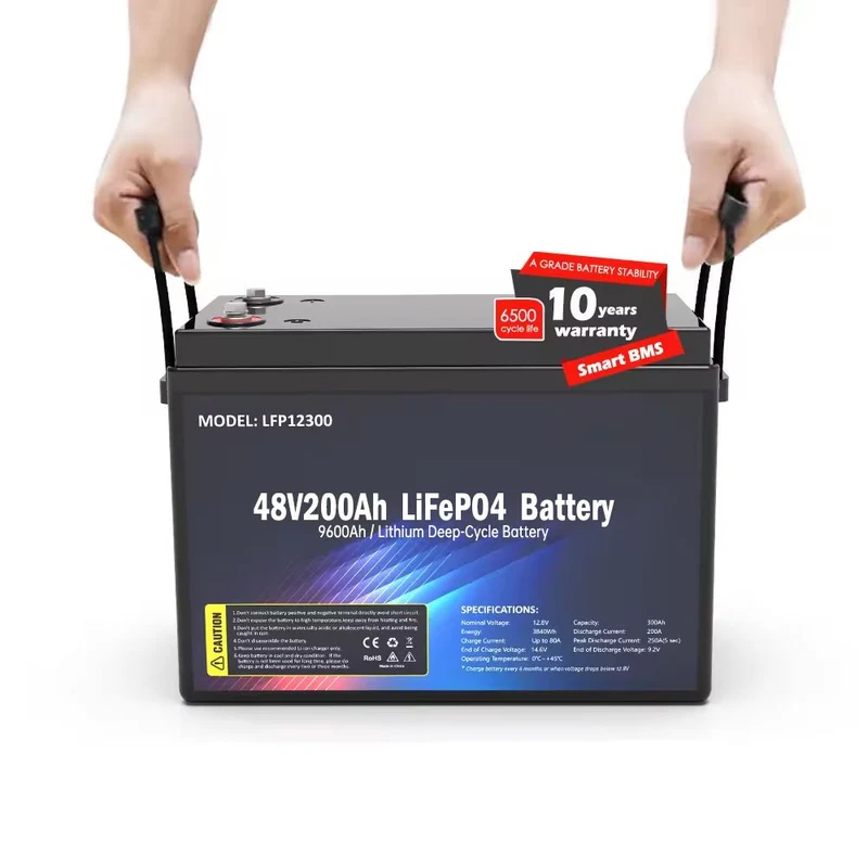 SS-48V200AH LiFePO4 9600wh batteripaket