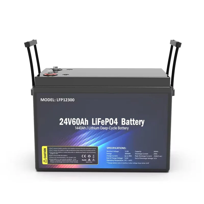SS-24V60AH LiFePO4 Batteri 1440WH
