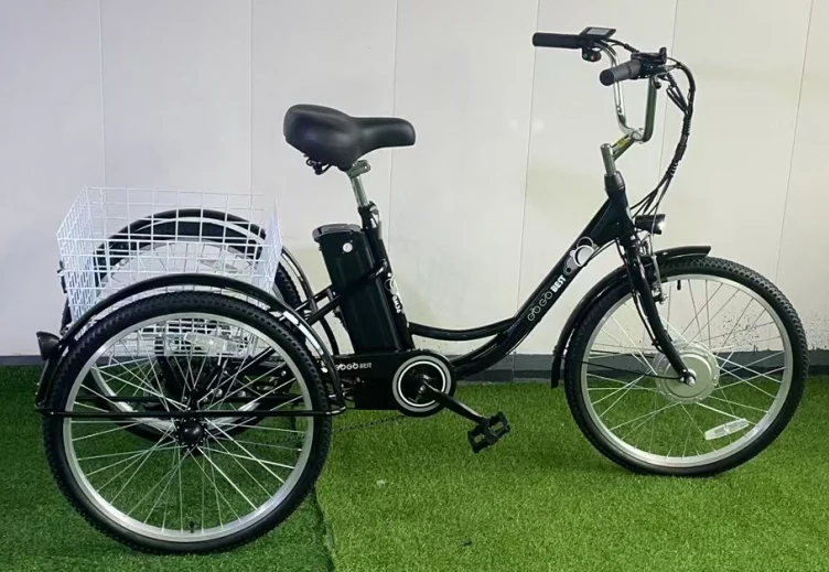 GTXR & GOGOBEST GF100 Electric City Tricycle Cargo Ebike【Pré-vente】