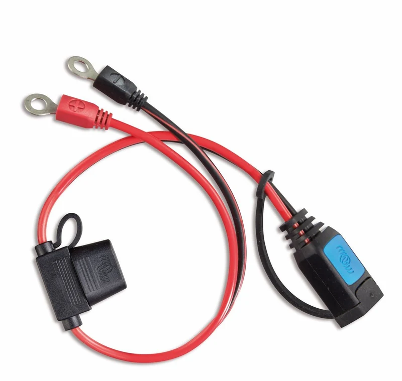 Connecteur de cosse de câble VICTRON Oeillet M6
