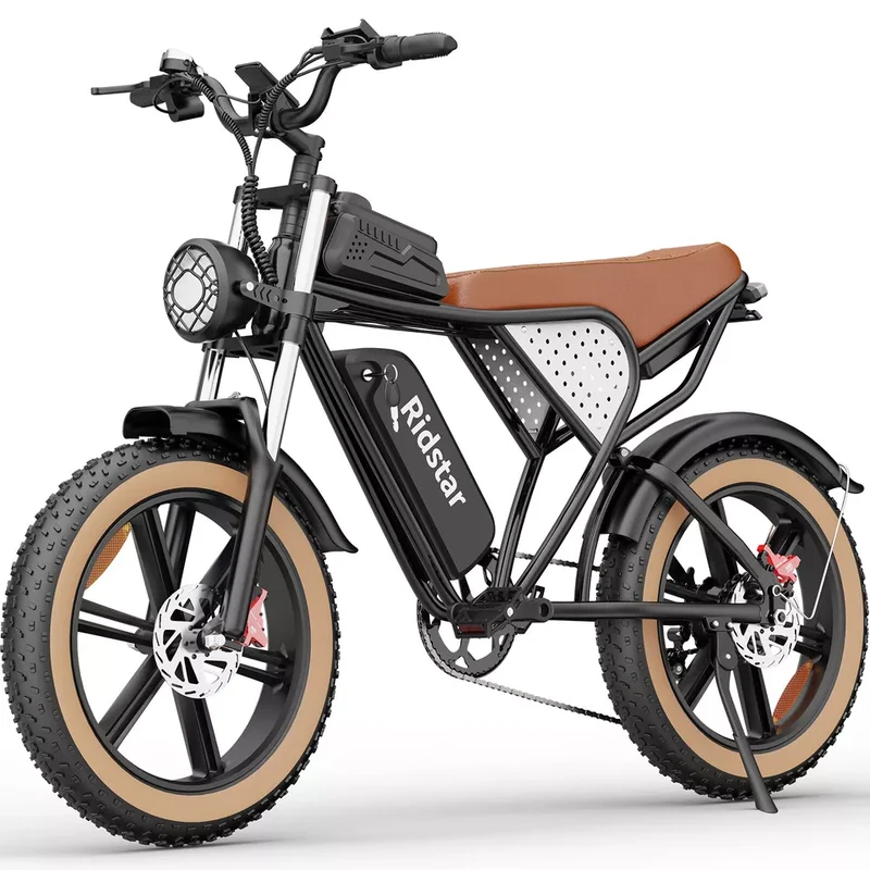 GTXR & Ridstar Q20 1500W 48V 20Ah Battery 20''Fat Tire Mountain Electric Bike for Adult