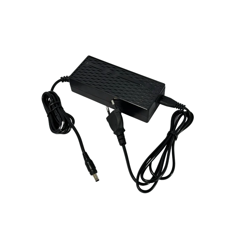 Chargeur de batterie lithium pour tricycle topmate ES-35
